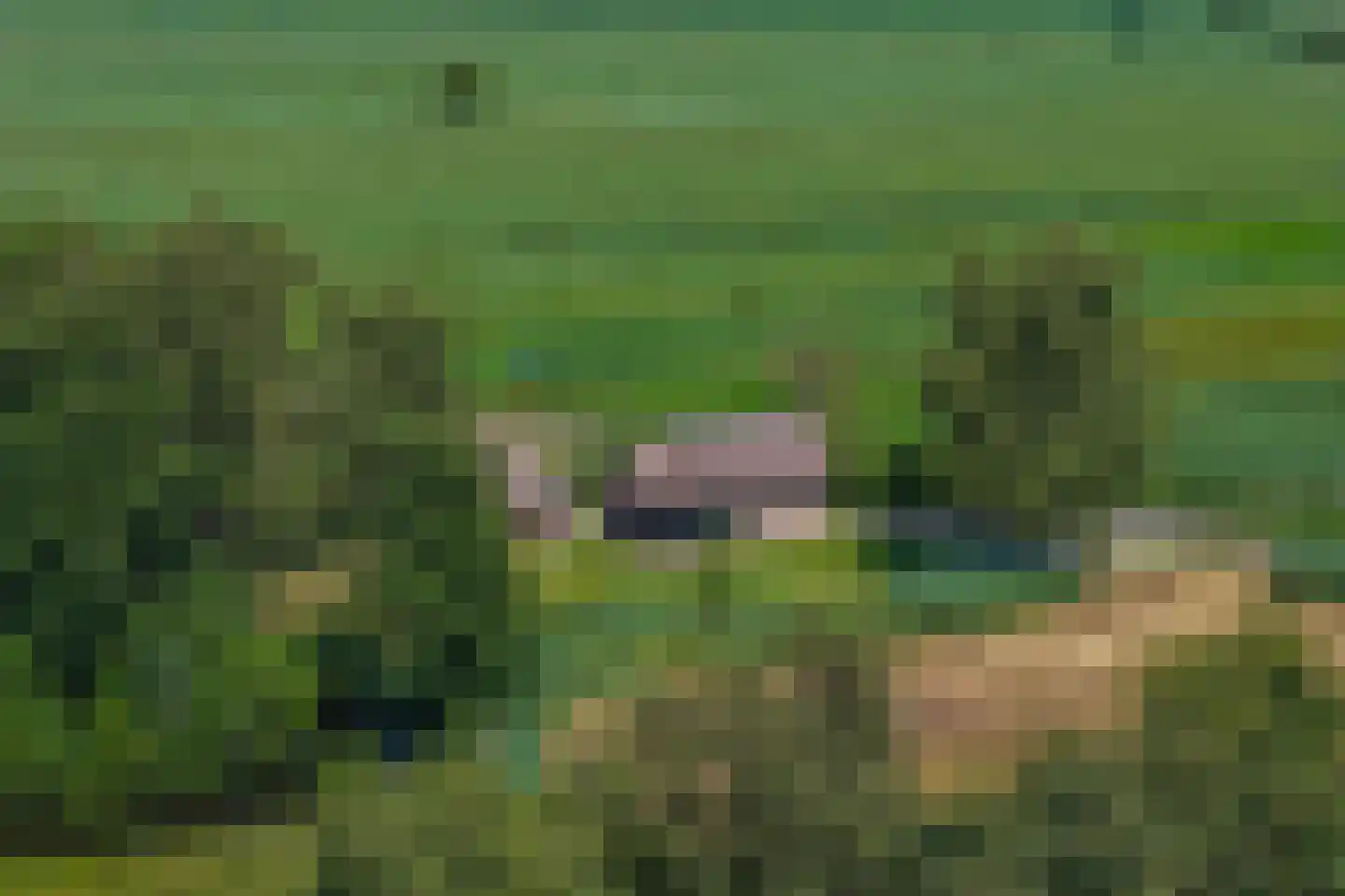 Hoogeweg 22 Kalenberg thumbnail 44