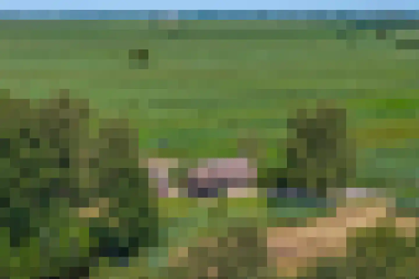 Hoogeweg 22 Kalenberg thumbnail 45