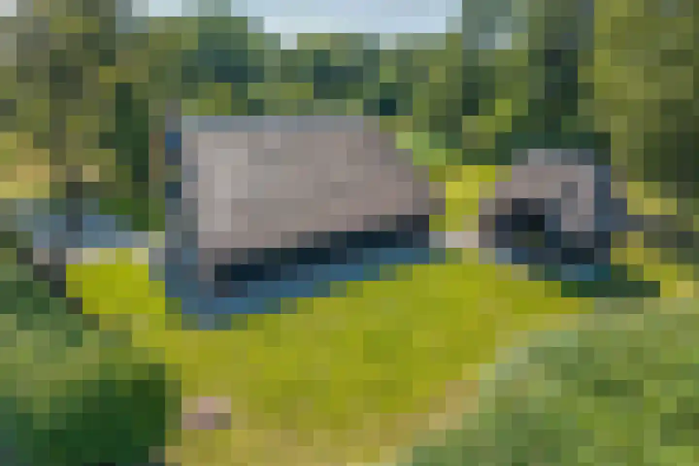 Hoogeweg 22 Kalenberg thumbnail 47