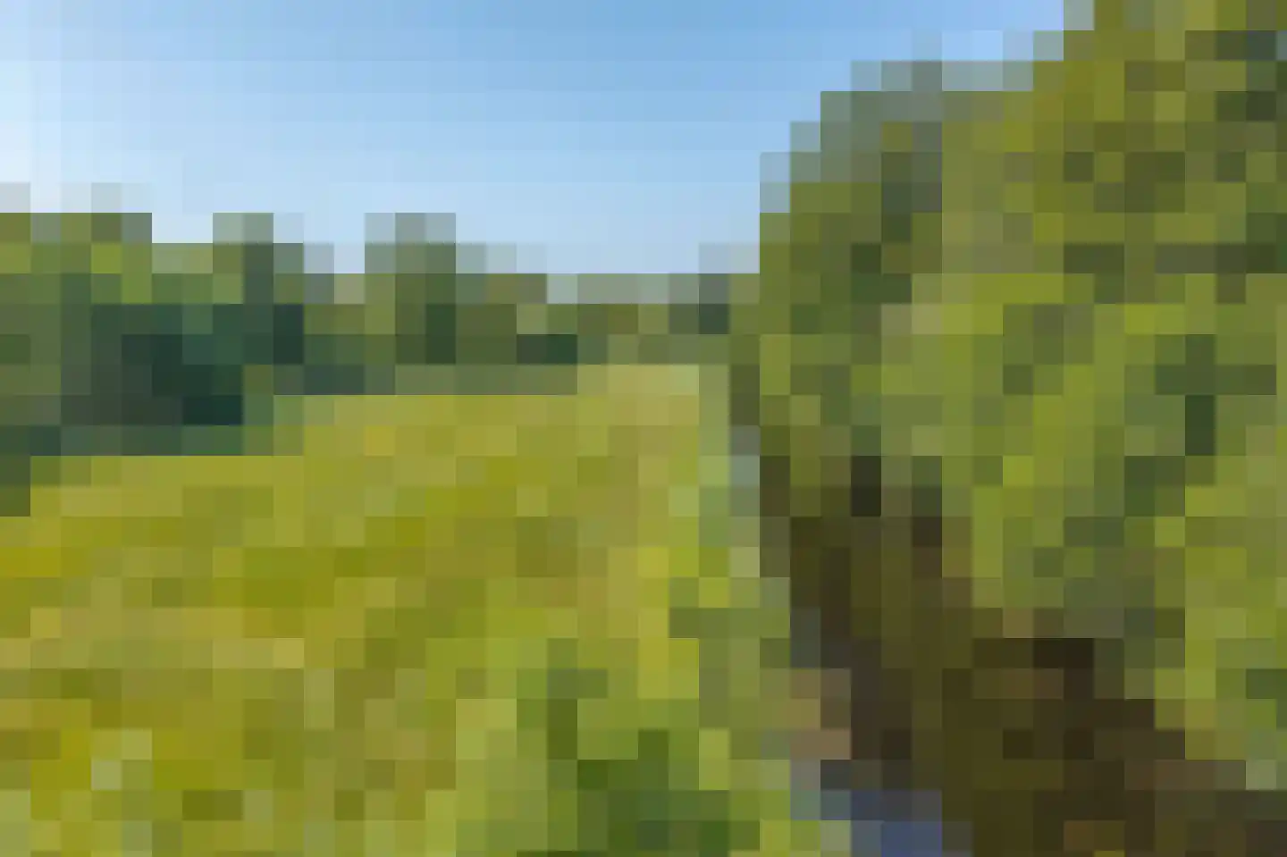 Hoogeweg 22 Kalenberg thumbnail 48