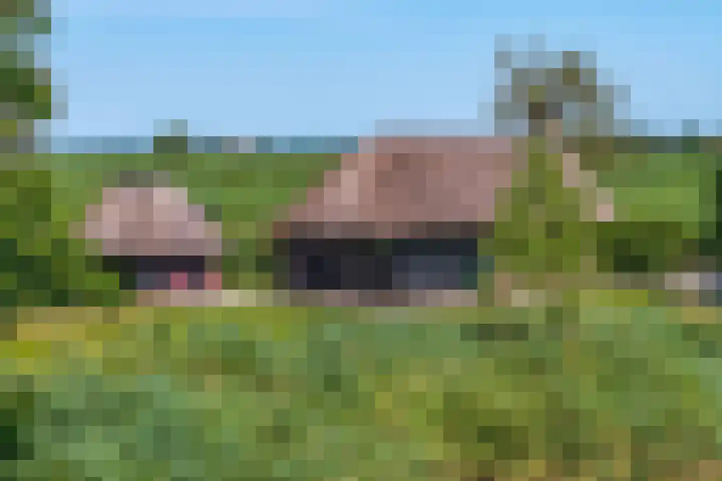 Hoogeweg 22 Kalenberg thumbnail 49