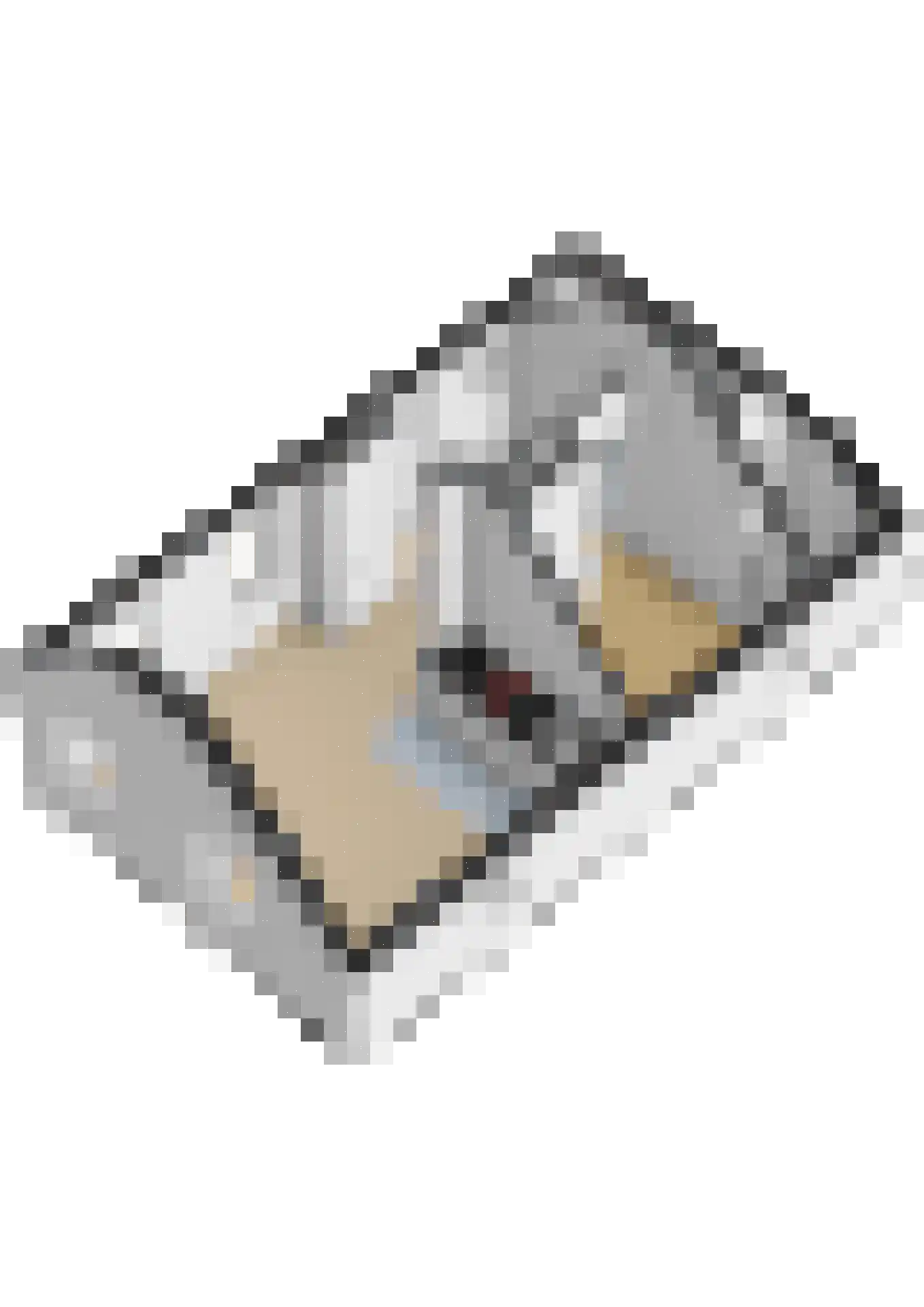 Hoogeweg 22 Kalenberg thumbnail 51