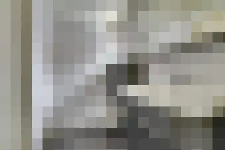 Hoogeweg 22 Pannerden thumbnail 19