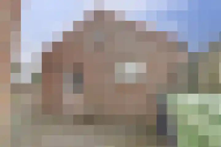 Hoogeweg 22 Pannerden thumbnail 32