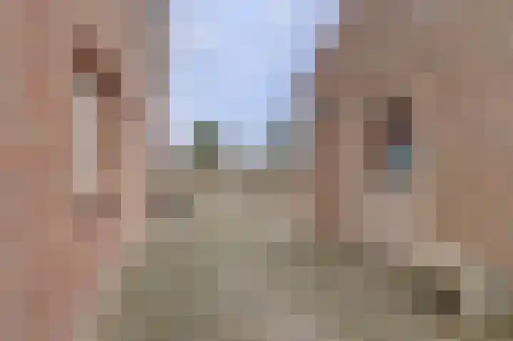 Hoogeweg 22 Pannerden thumbnail 33