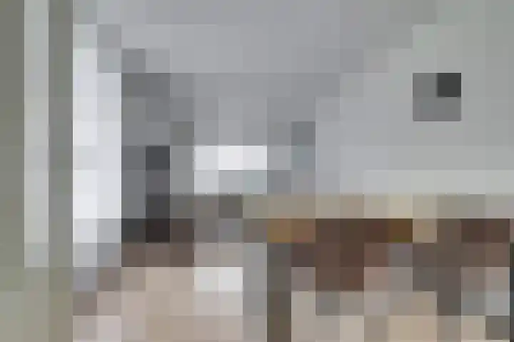 Hoogeweg 22 Pannerden thumbnail 7