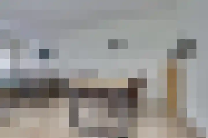 Hoogeweg 22 Pannerden thumbnail 8