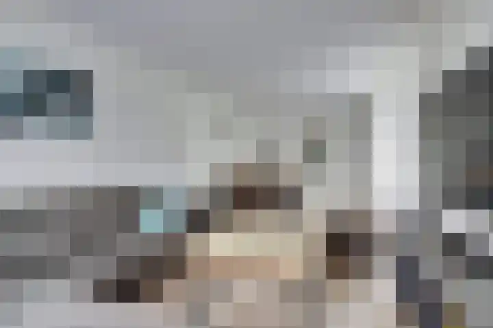 Hoogeweg 22 Pannerden thumbnail 9
