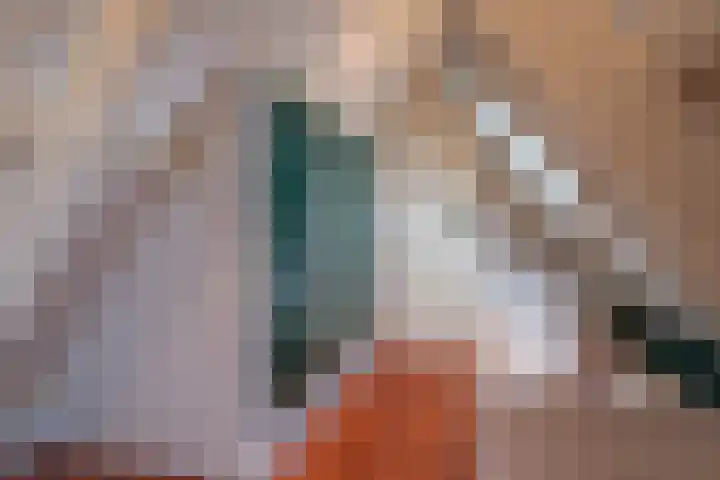 Hoogeweg 24 Wemeldinge thumbnail 30