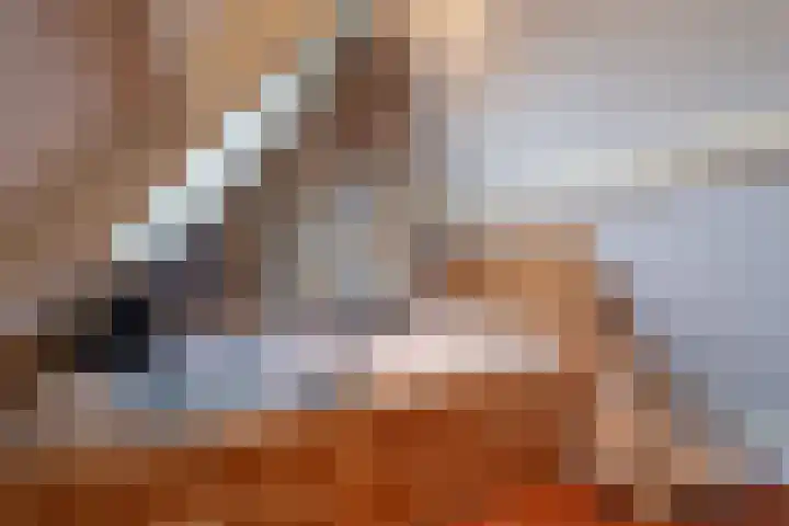 Hoogeweg 24 Wemeldinge thumbnail 31