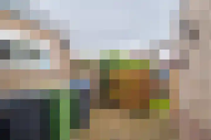Hoogeweg 24 Wemeldinge thumbnail 34