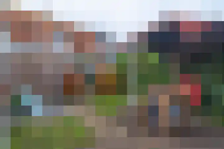 Hoogeweg 24 Wemeldinge thumbnail 35