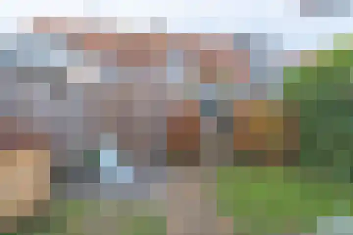 Hoogeweg 24 Wemeldinge thumbnail 37