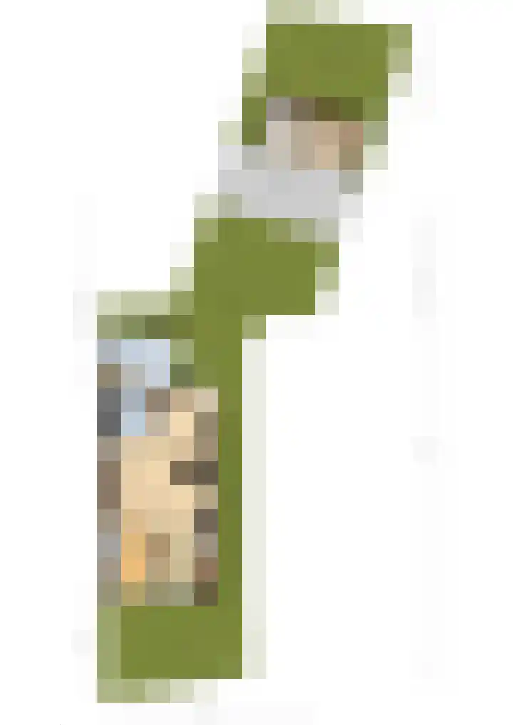 Hoogeweg 24 Wemeldinge thumbnail 49