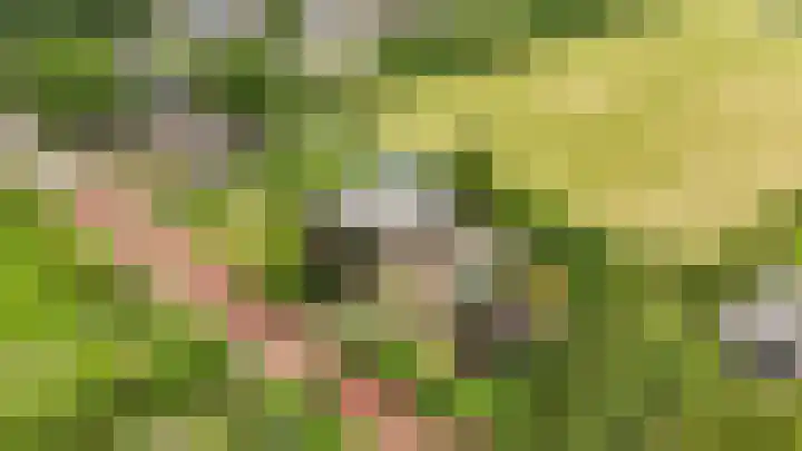 Hoogeweg 25 Heiloo thumbnail 33