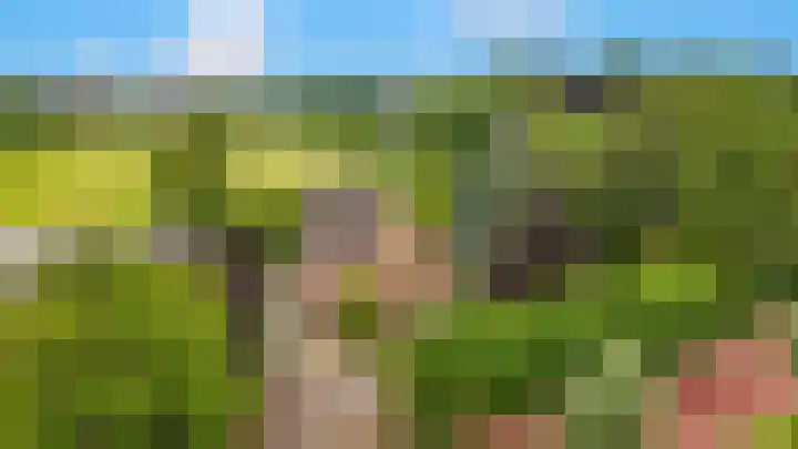 Hoogeweg 25 Heiloo thumbnail 38