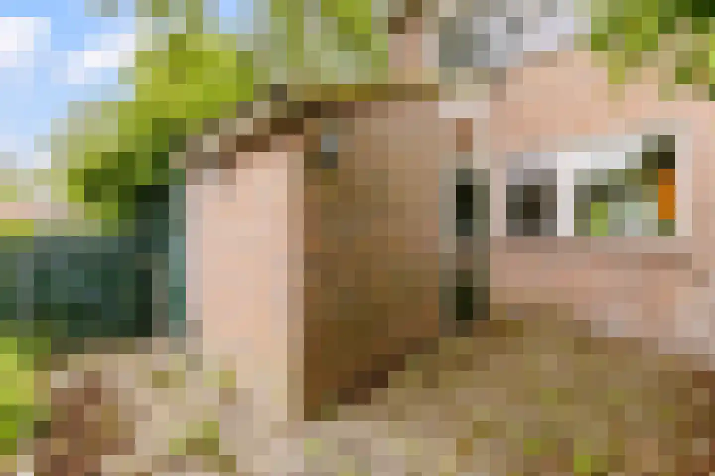 Hoogeweg 26 c Heiloo thumbnail 21
