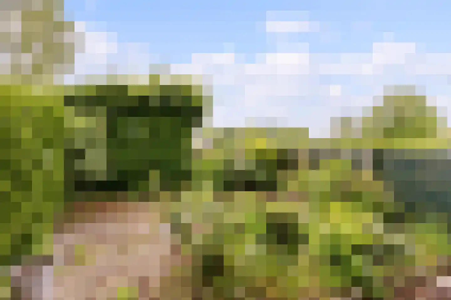 Hoogeweg 26 c Heiloo thumbnail 22