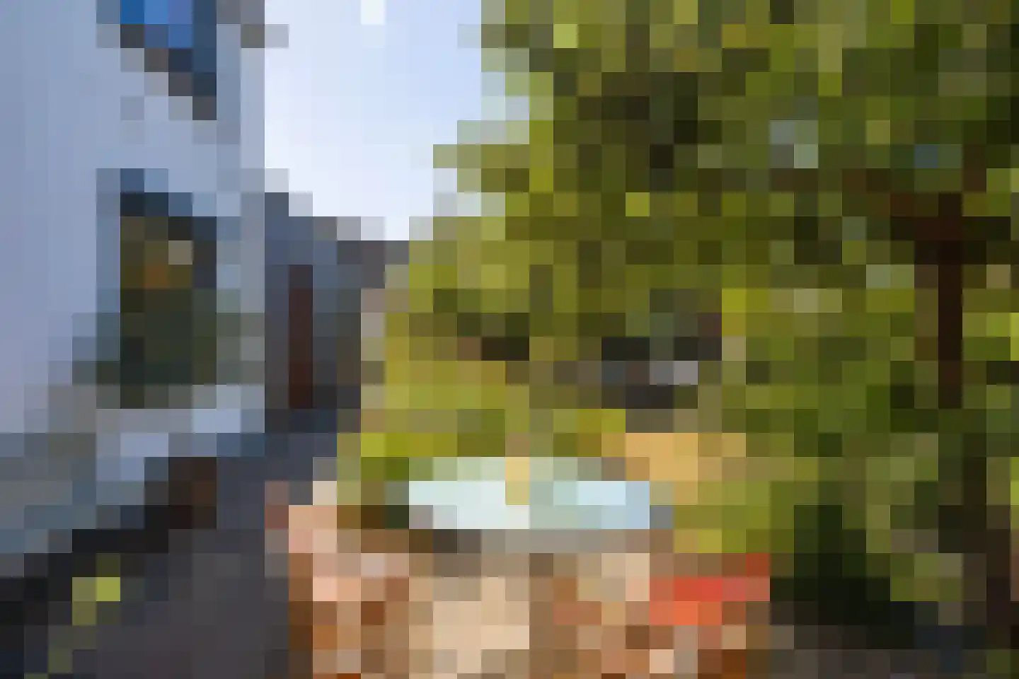 Hoogeweg 3 Pannerden thumbnail 19