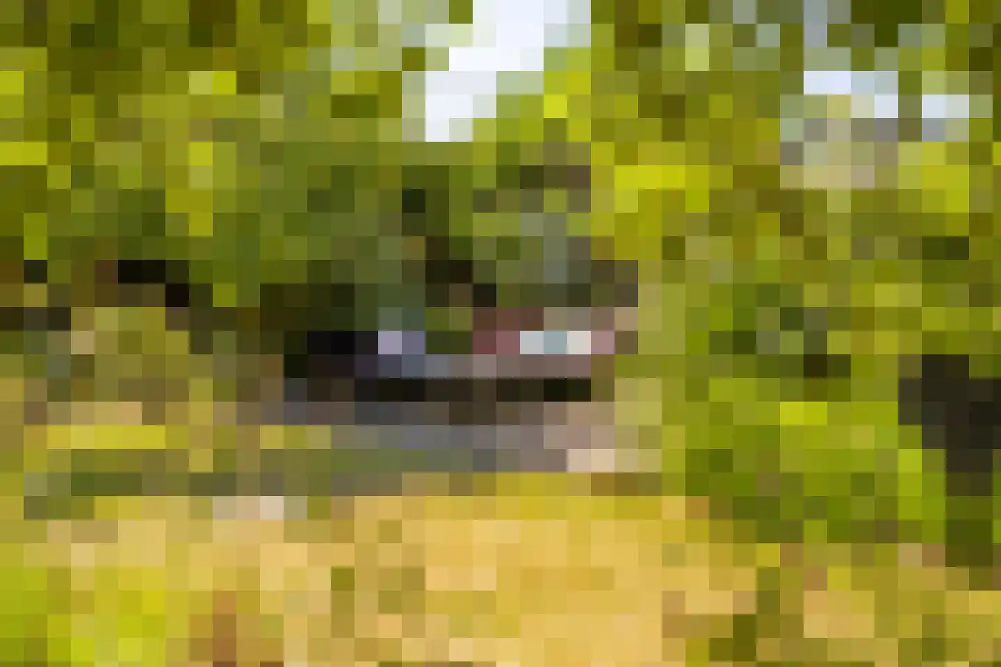 Hoogeweg 3 Pannerden thumbnail 20