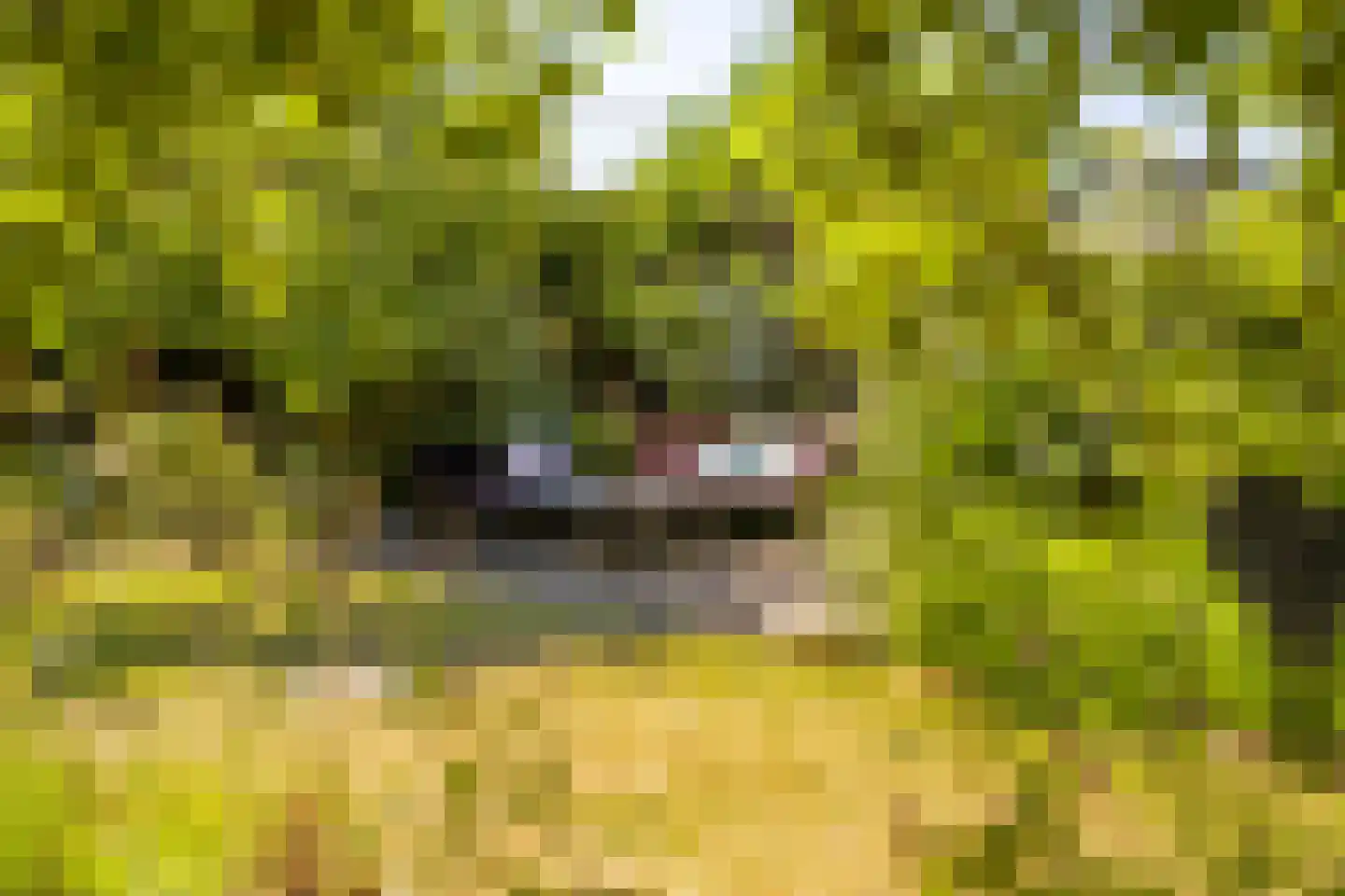 Hoogeweg 3 Pannerden thumbnail 21