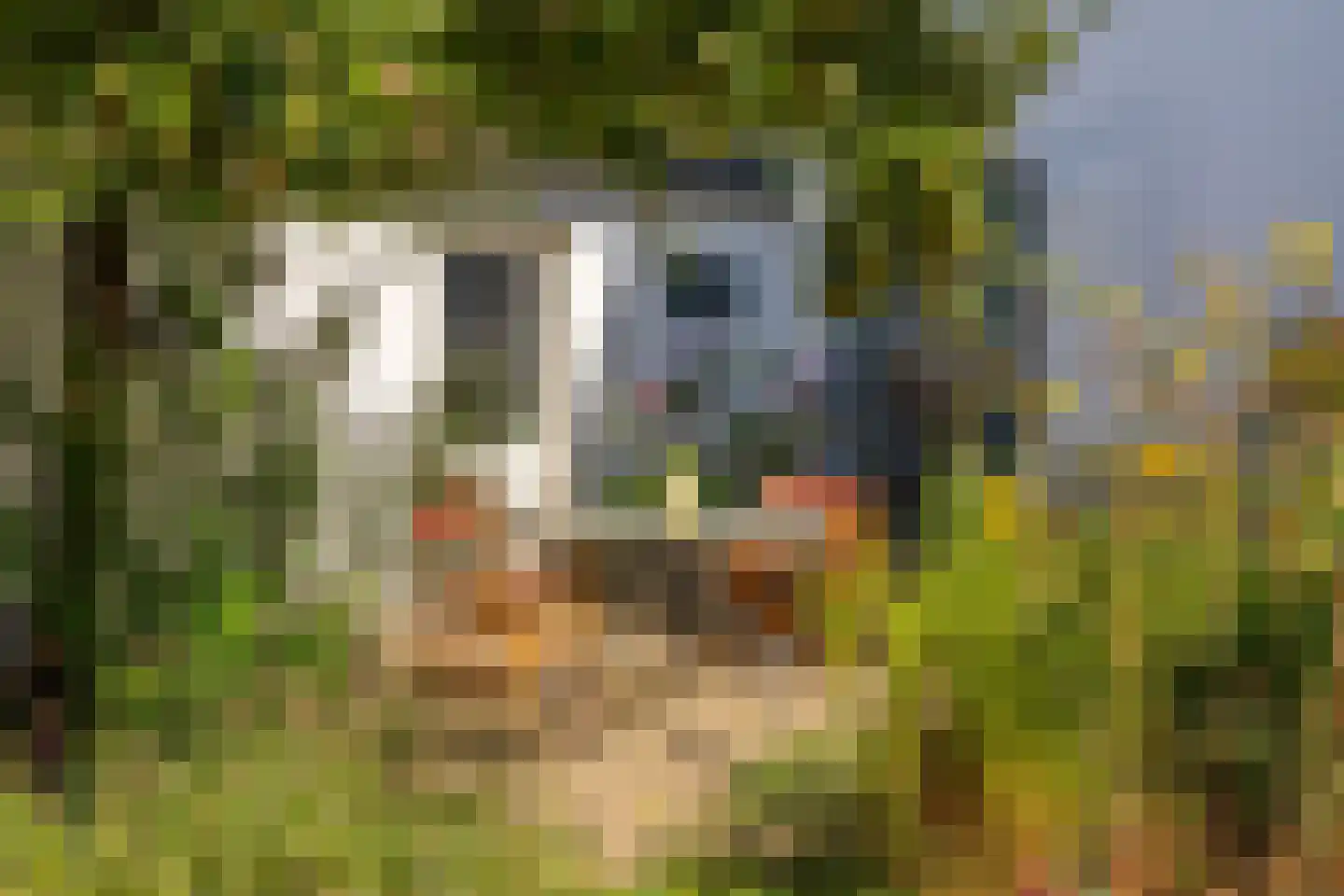 Hoogeweg 3 Pannerden thumbnail 22