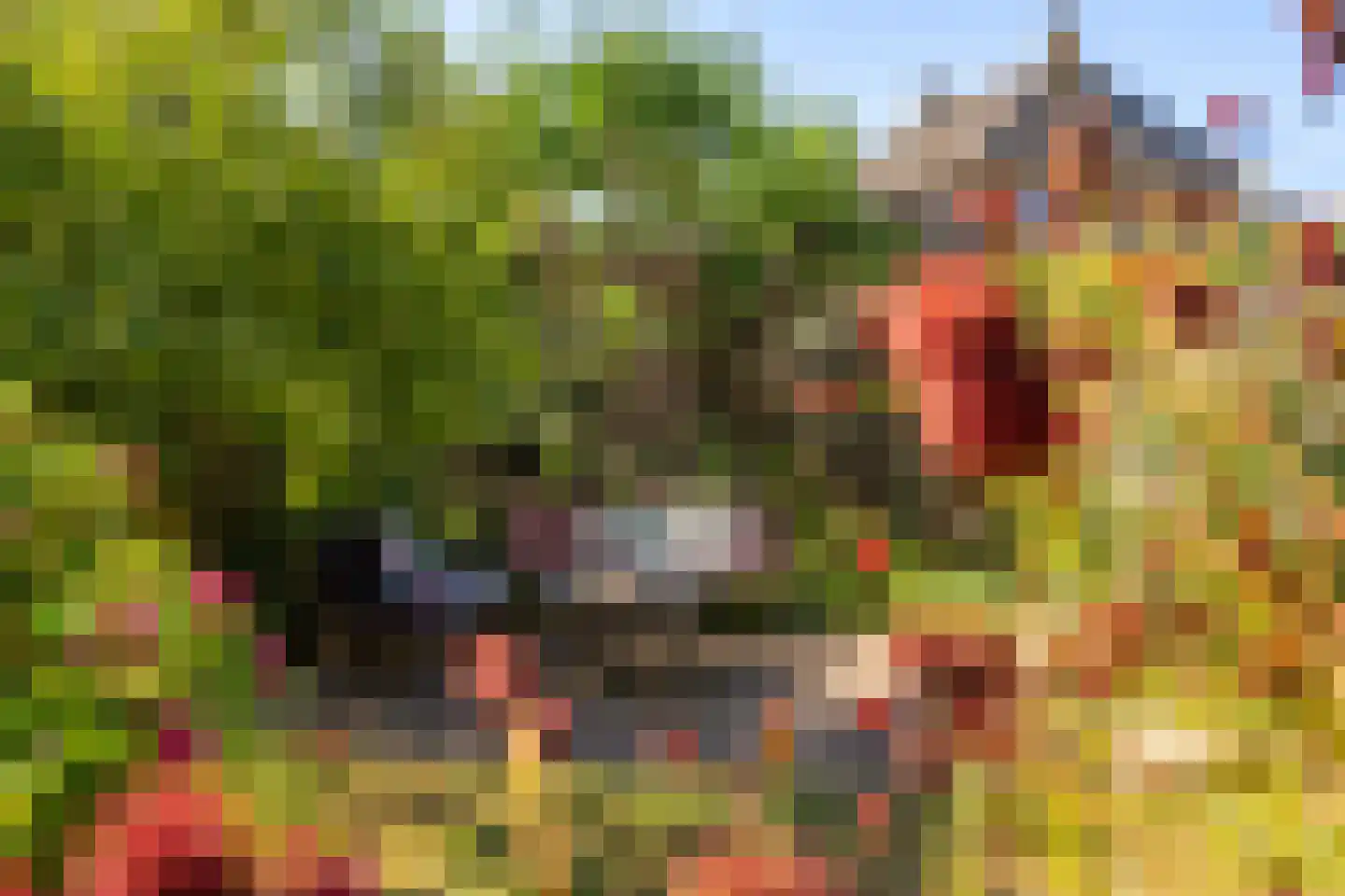 Hoogeweg 3 Pannerden thumbnail 23