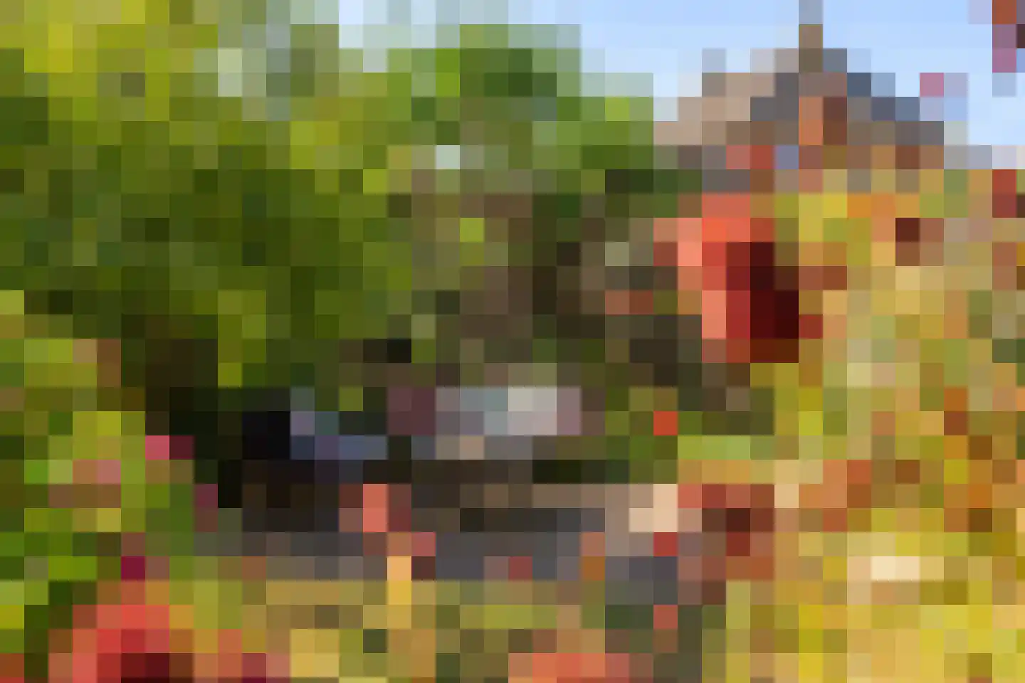 Hoogeweg 3 Pannerden thumbnail 24