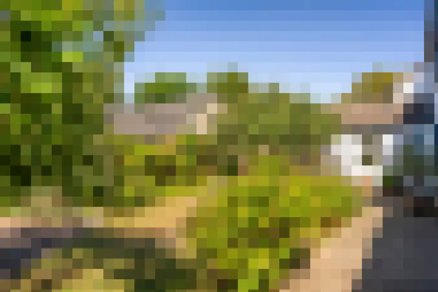 Hoogeweg 3 Pannerden thumbnail 24