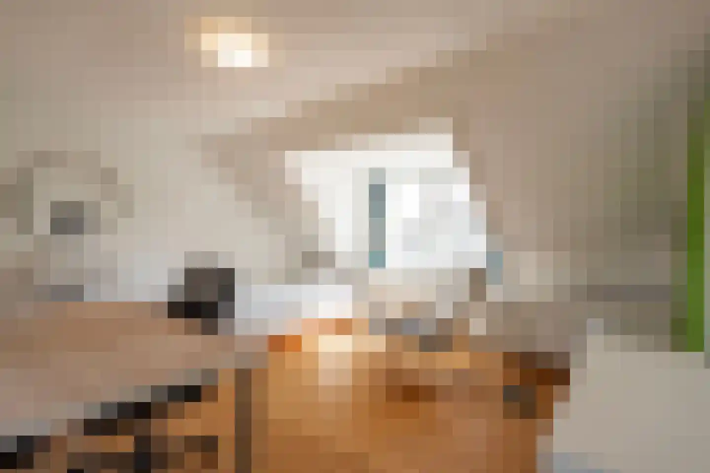 Hoogeweg 3 Pannerden thumbnail 28