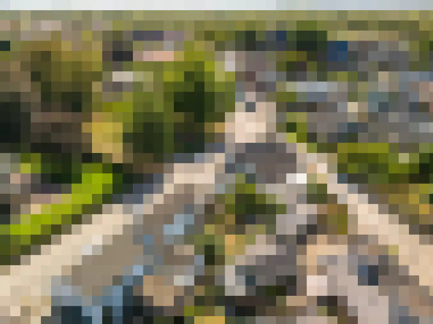 Hoogeweg 3 Pannerden thumbnail 33