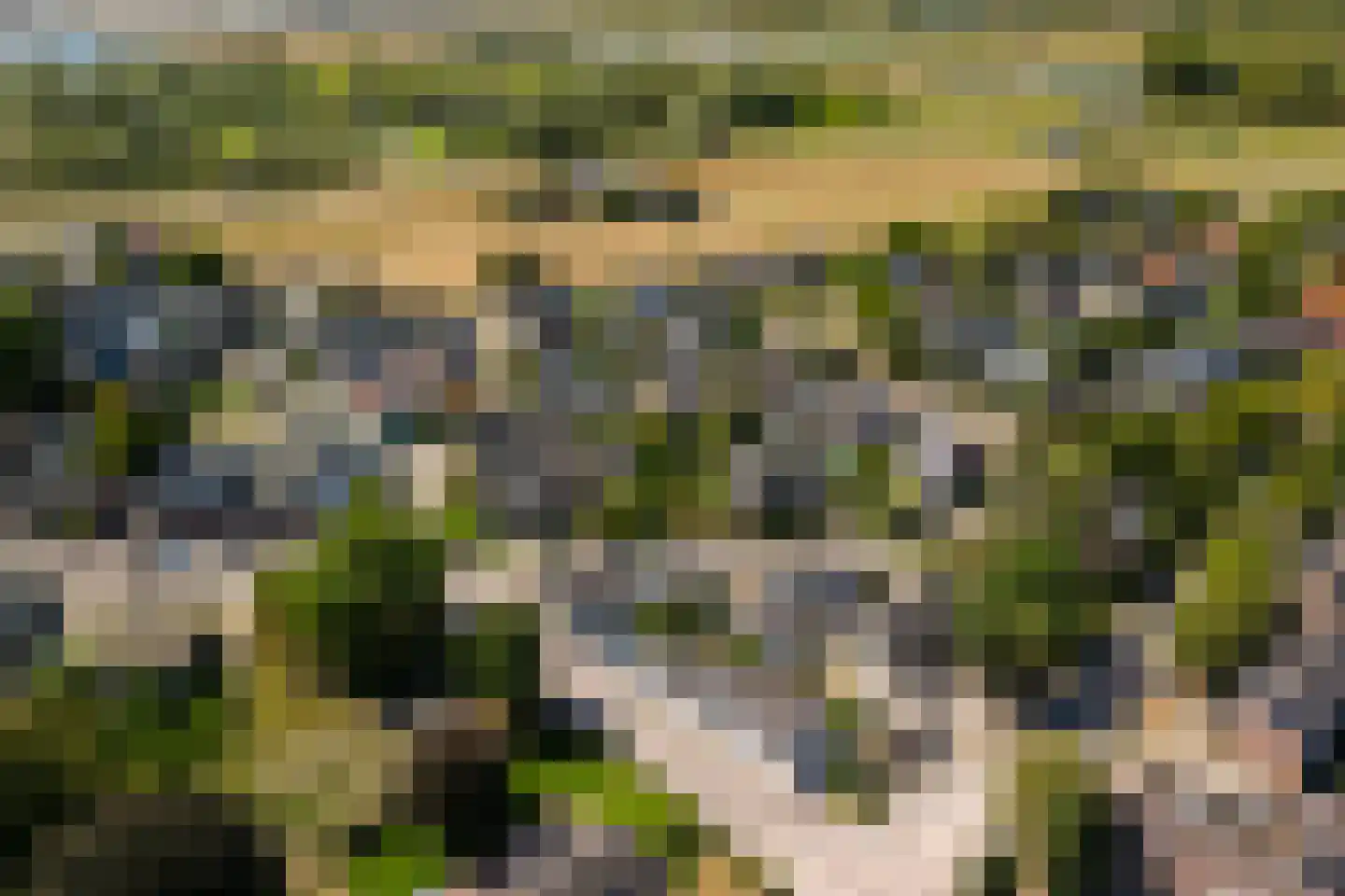 Hoogeweg 3 Pannerden thumbnail 34