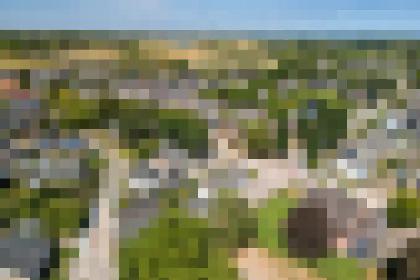 Hoogeweg 3 Pannerden thumbnail 36
