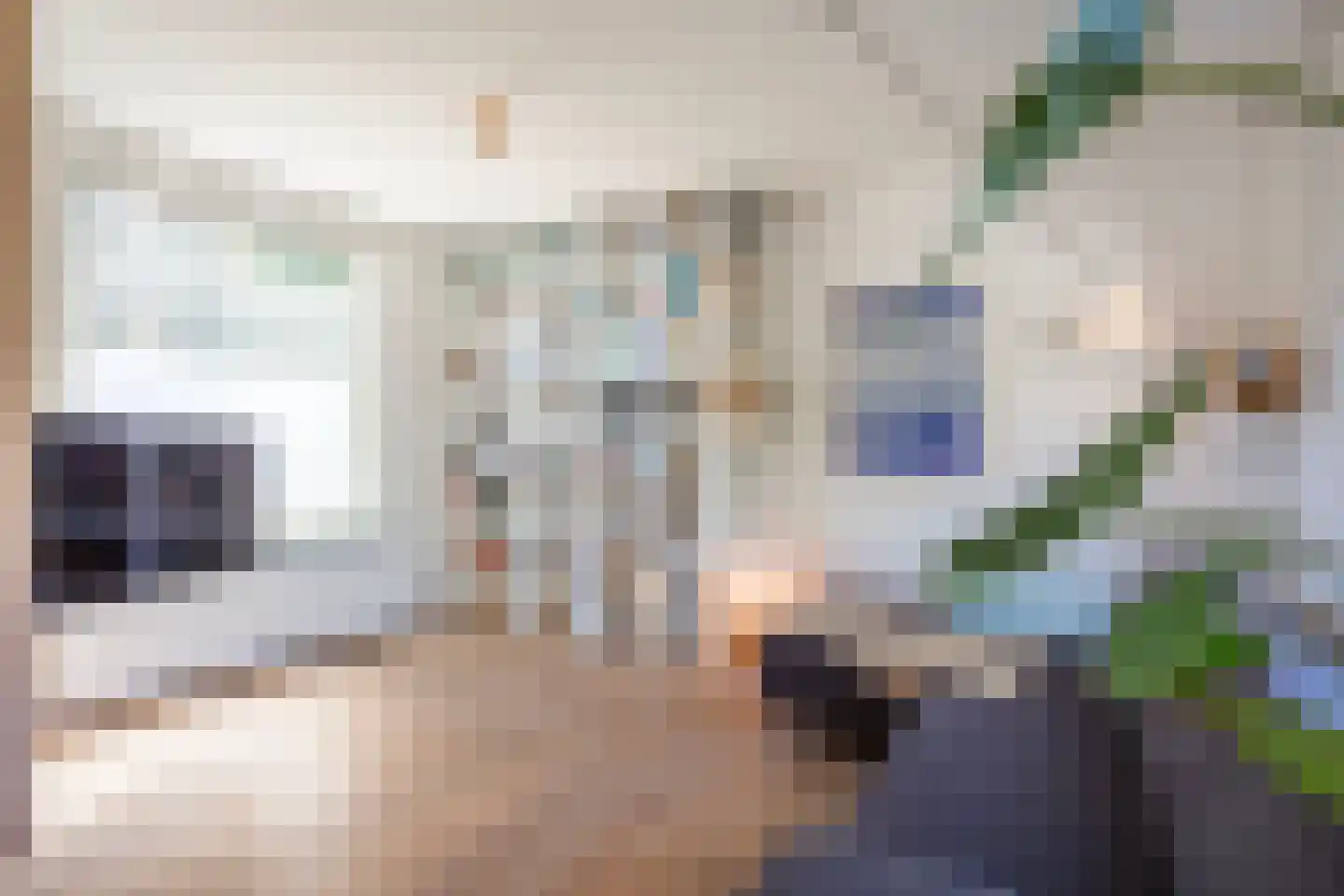 Hoogeweg 3 Pannerden thumbnail 6