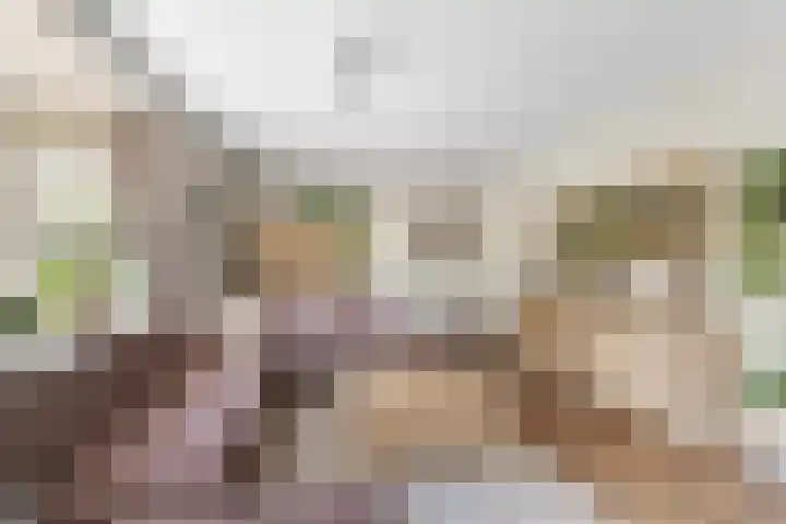 Hoogeweg 32 a Pannerden thumbnail 11