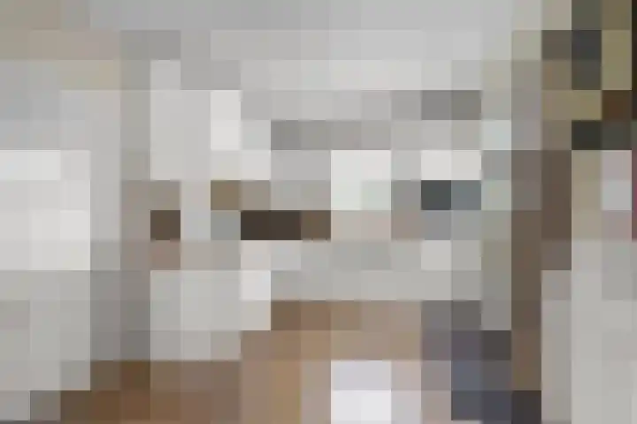 Hoogeweg 32 a Pannerden thumbnail 13