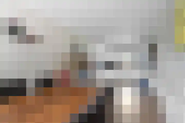 Hoogeweg 32 a Pannerden thumbnail 16