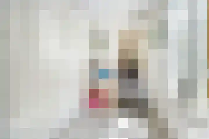 Hoogeweg 32 a Pannerden thumbnail 17