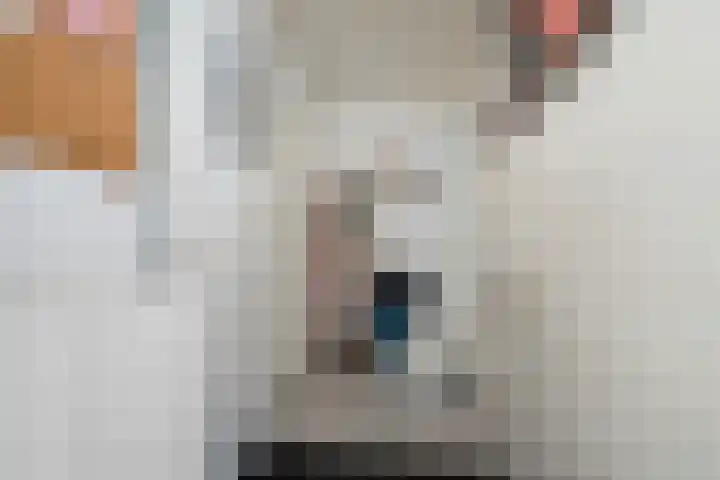 Hoogeweg 32 a Pannerden thumbnail 19