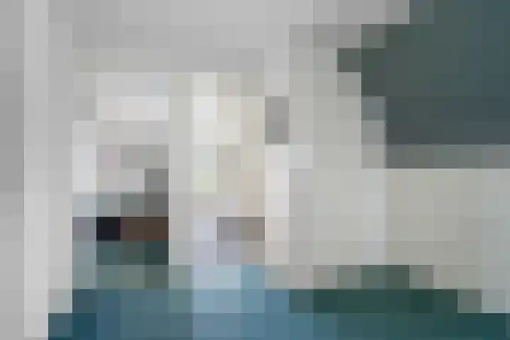 Hoogeweg 32 a Pannerden thumbnail 23