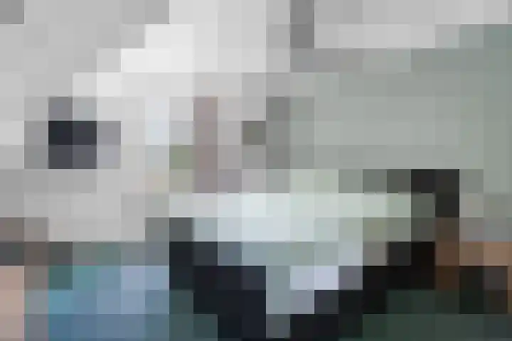 Hoogeweg 32 a Pannerden thumbnail 25