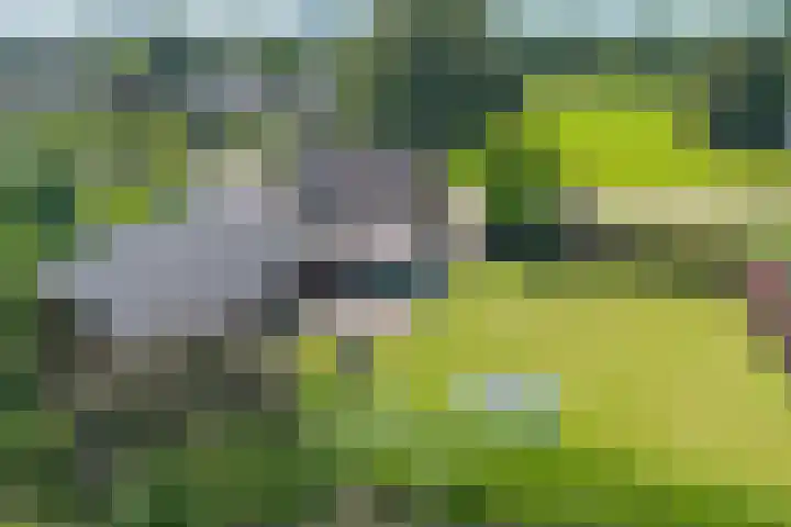 Hoogeweg 32 a Pannerden thumbnail 31