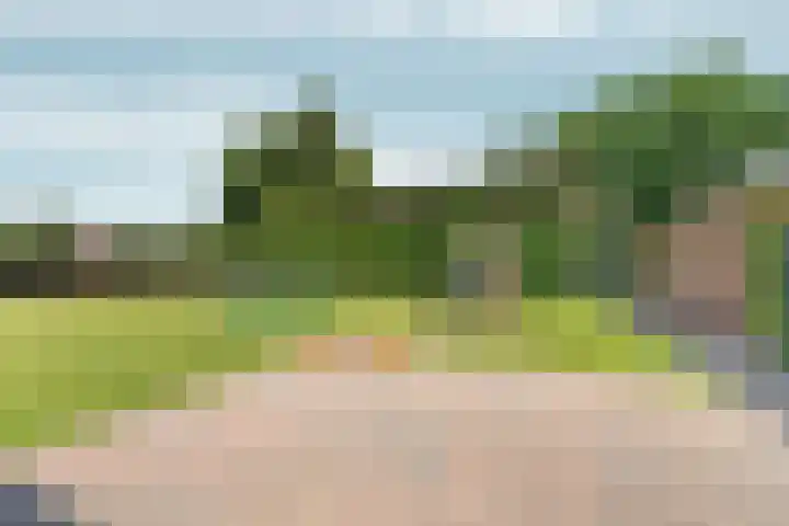 Hoogeweg 32 a Pannerden thumbnail 35