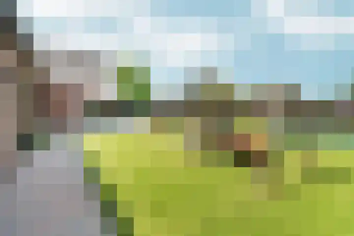 Hoogeweg 32 a Pannerden thumbnail 36