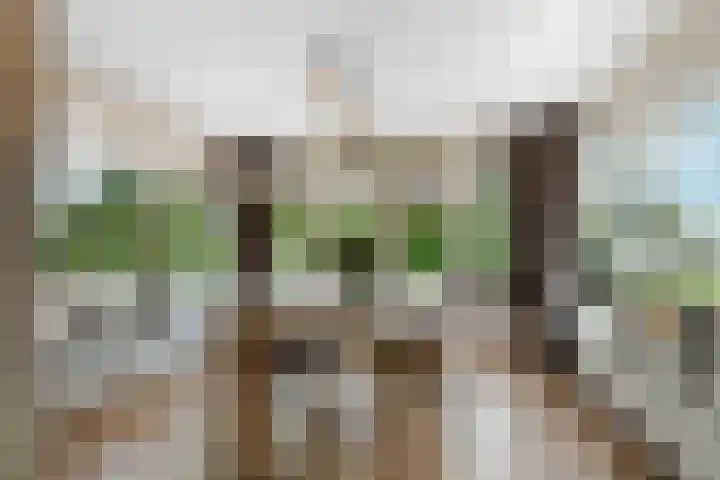 Hoogeweg 32 a Pannerden thumbnail 4