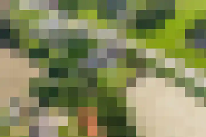 Hoogeweg 32 a Pannerden thumbnail 58
