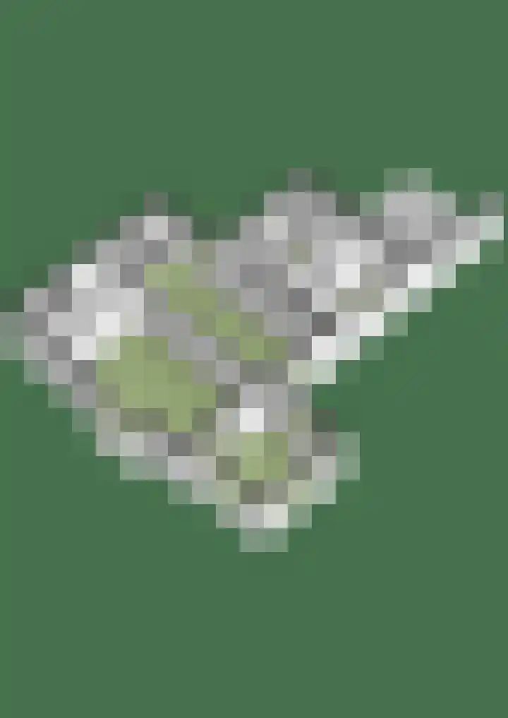 Hoogeweg 32 a Pannerden thumbnail 60
