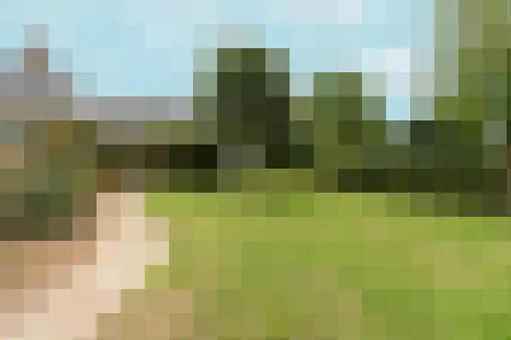 Hoogeweg 34 Pannerden thumbnail 48