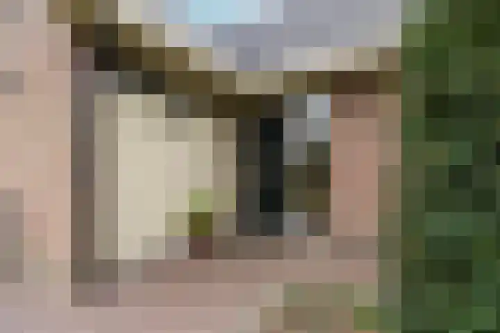 Hoogeweg 34 Pannerden thumbnail 6