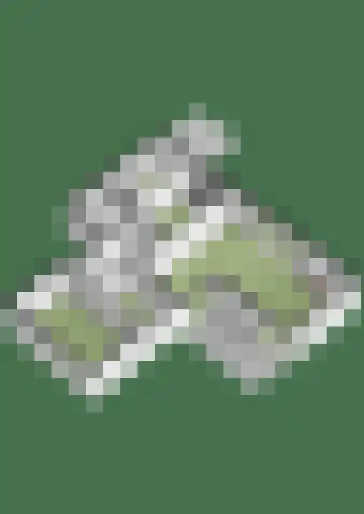 Hoogeweg 34 Pannerden thumbnail 64